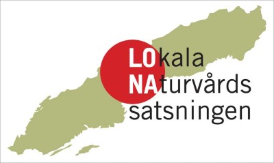 Bilden visa logotype LONA-projekt