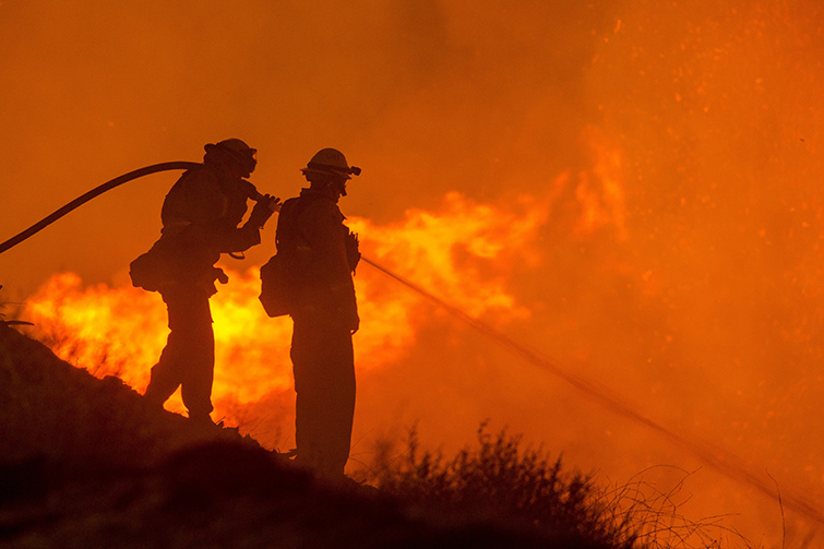 Två brandmän bekämpar en skogsbrand.